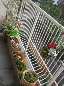 1226_k_Balcony1.jpg