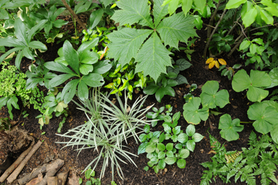 20120602_GardenLunch.jpg